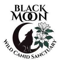 wolf howling inside a crescent moon