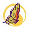 colorful butterfly