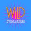 WILD on blue background with pink sun rays