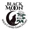 wolf howling inside a crescent moon